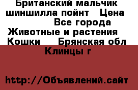 Британский мальчик шиншилла-пойнт › Цена ­ 5 000 - Все города Животные и растения » Кошки   . Брянская обл.,Клинцы г.